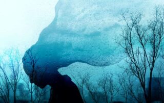 Самопознание